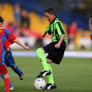 Brighton & Hove Albion vs. Crystal Palace: 2013 Play-Off First Leg