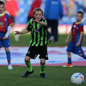 Brighton & Hove Albion vs. Crystal Palace: 2013 Play-Off Semifinal First Leg