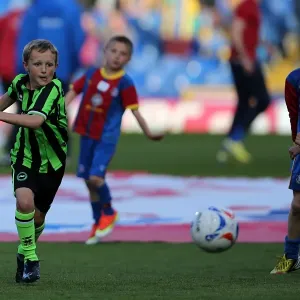 Brighton & Hove Albion vs. Crystal Palace: 2013 Play-Off Semifinal First Leg