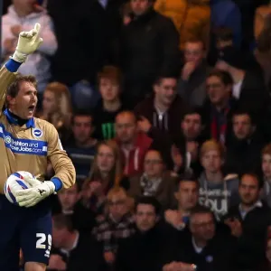 Brighton & Hove Albion vs. Crystal Palace: 2013 Play-Off Semifinal First Leg