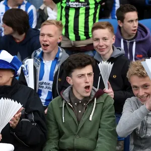 Brighton & Hove Albion vs. Crystal Palace: 2013 Play-Off Semifinal Second Leg Brighton & Hove Albion vs. Crystal Palace: 2013 Play-Off Semifinal Second Leg