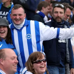 Brighton & Hove Albion vs. Crystal Palace: 2013 Play-Off Semifinal Second Leg Brighton & Hove Albion vs. Crystal Palace: 2013 Play-Off Semifinal Second Leg