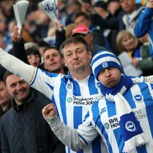 Brighton & Hove Albion vs. Crystal Palace: 2013 Play-Off Semifinal Second Leg Brighton & Hove Albion vs. Crystal Palace: 2013 Play-Off Semifinal Second Leg