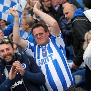 Brighton & Hove Albion vs. Crystal Palace: 2013 Play-Off Semifinal Second Leg Brighton & Hove Albion vs. Crystal Palace: 2013 Play-Off Semifinal Second Leg