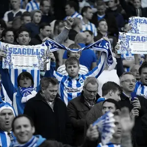 Brighton & Hove Albion vs. Crystal Palace: 2013 Play-Off Semifinal Second Leg Brighton & Hove Albion vs. Crystal Palace: 2013 Play-Off Semifinal Second Leg