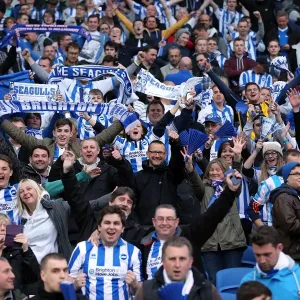 Brighton & Hove Albion vs. Crystal Palace: 2013 Play-Off Semifinal Second Leg Brighton & Hove Albion vs. Crystal Palace: 2013 Play-Off Semifinal Second Leg