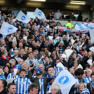 Brighton & Hove Albion vs. Crystal Palace: 2013 Play-Off Semifinal Second Leg Brighton & Hove Albion vs. Crystal Palace: 2013 Play-Off Semifinal Second Leg