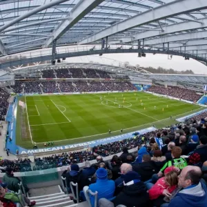 Brighton & Hove Albion vs Crystal Palace: The Amex Rivalry Clash (17/03/2013)