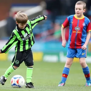 Brighton & Hove Albion vs. Crystal Palace (Away): 01-12-2012 - A 2012-13 Season Game