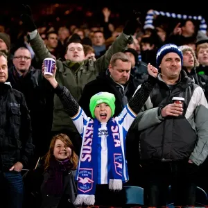 Brighton & Hove Albion vs. Crystal Palace: January 31, 2012 - Away Game (Season 2011-12)