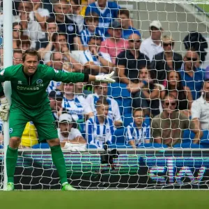 Brighton & Hove Albion vs. Derby County: A Historic 10-08-2013 Home Game (10-08-2013: Derby County) Brighton & Hove Albion vs. Derby County: A Historic 10-08-2013 Home Game (10-08-2013: Derby County)