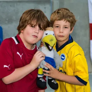 Brighton & Hove Albion vs. Derby County: A Historic 10-08-2013 Home Game (10-08-2013: Derby County) Brighton & Hove Albion vs. Derby County: A Historic 10-08-2013 Home Game (10-08-2013: Derby County)