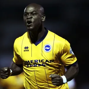 Brighton & Hove Albion vs Doncaster Rovers: 2013-14 Away Game