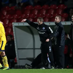 Brighton & Hove Albion vs Doncaster Rovers: 2013-14 Away Game