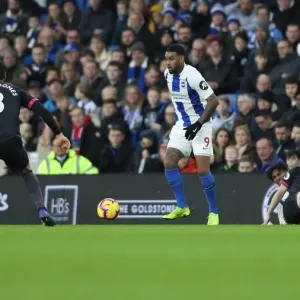 Brighton and Hove Albion vs. Everton: Premier League Battle at American Express Community Stadium (29DEC18)