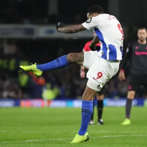 Brighton and Hove Albion vs. Everton: Premier League Battle at American Express Community Stadium (29DEC18)