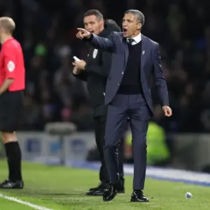 Brighton and Hove Albion vs. Everton: Premier League Battle at American Express Community Stadium (29DEC18)