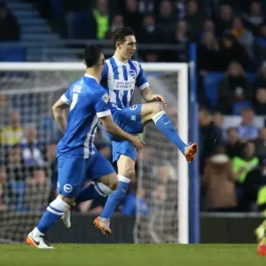 Brighton and Hove Albion vs Fulham: Sky Bet Championship Clash at American Express Community Stadium (15 April 2016) Brighton and Hove Albion vs Fulham: Sky Bet Championship Clash at American Express Community Stadium (15 April 2016)