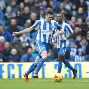 Brighton and Hove Albion vs Fulham: EFL Sky Bet Championship Showdown at American Express Community Stadium (Nov 2016) Brighton and Hove Albion vs Fulham: EFL Sky Bet Championship Showdown at American Express Community Stadium (Nov 2016)
