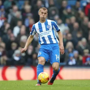 Brighton and Hove Albion vs Fulham: Championship Clash at American Express Community Stadium (November 26, 2016) Brighton and Hove Albion vs Fulham: Championship Clash at American Express Community Stadium (November 26, 2016)