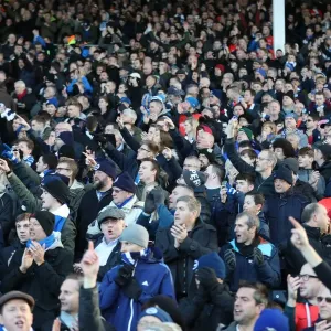 Brighton and Hove Albion vs. Fulham: EFL Sky Bet Championship Showdown at Craven Cottage (02.01.17) Brighton and Hove Albion vs. Fulham: EFL Sky Bet Championship Showdown at Craven Cottage (02.01.17)
