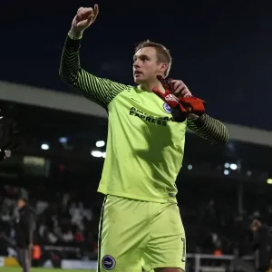 Brighton and Hove Albion vs. Fulham: EFL Sky Bet Championship Showdown at Craven Cottage (02.01.17) Brighton and Hove Albion vs. Fulham: EFL Sky Bet Championship Showdown at Craven Cottage (02.01.17)