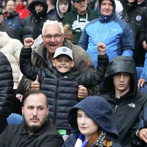 Brighton and Hove Albion vs. Fulham: Intense Premier League Clash at American Express Stadium (29OCT23)