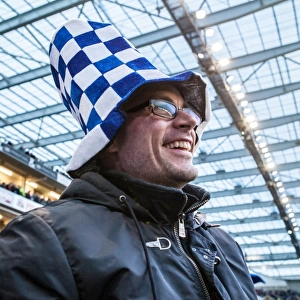 Brighton and Hove Albion vs Fulham: A Passionate Albion Fan Amidst the Sky Bet Championship Action (15APR16)