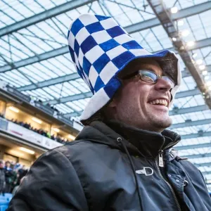 Brighton and Hove Albion vs Fulham: A Passionate Albion Fan Amidst the Sky Bet Championship Action (15APR16) Brighton and Hove Albion vs Fulham: A Passionate Albion Fan Amidst the Sky Bet Championship Action (15APR16)