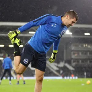 Brighton and Hove Albion vs. Fulham: A Premier League Battle at Craven Cottage (29 JAN 19) Brighton and Hove Albion vs. Fulham: A Premier League Battle at Craven Cottage (29 JAN 19)
