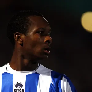 Brighton & Hove Albion vs. Gillingham: 2009-10 Home Season Brighton & Hove Albion vs. Gillingham: 2009-10 Home Season