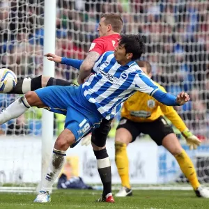 Brighton & Hove Albion vs. Huddersfield Town (02-03-2013): A Glimpse into the 2012-13 Home Season Brighton & Hove Albion vs. Huddersfield Town (02-03-2013): A Glimpse into the 2012-13 Home Season