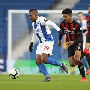 Brighton and Hove Albion vs. Huddersfield Town: Premier League Battle at American Express Community Stadium (02MAR19)