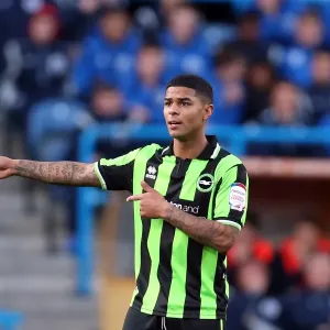 Brighton & Hove Albion vs. Huddersfield Town: 2012-13 Away Game Brighton & Hove Albion vs. Huddersfield Town: 2012-13 Away Game