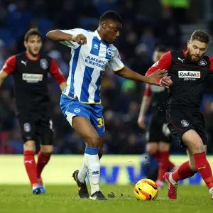 Brighton & Hove Albion vs Huddersfield Town: Home Game - 21-12-2013 Brighton & Hove Albion vs Huddersfield Town: Home Game - 21-12-2013