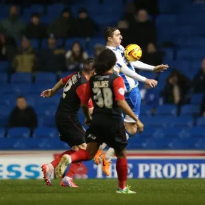 Brighton & Hove Albion vs. Huddersfield Town: Home Game - 21-12-2013, 2013-14 Season Brighton & Hove Albion vs. Huddersfield Town: Home Game - 21-12-2013, 2013-14 Season