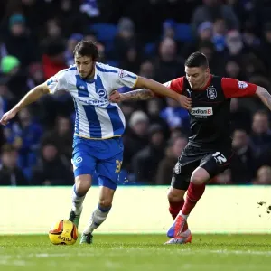 Brighton & Hove Albion vs. Huddersfield Town: Home Game, 21-12-2013 (Season 2013-14) Brighton & Hove Albion vs. Huddersfield Town: Home Game, 21-12-2013 (Season 2013-14)