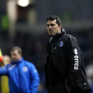 Brighton & Hove Albion vs. Huddersfield Town: Home Game, 12-21-2013 (Premier League, 2013-14 Season) Brighton & Hove Albion vs. Huddersfield Town: Home Game, 12-21-2013 (Premier League, 2013-14 Season)