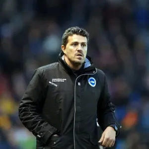 Brighton & Hove Albion vs. Huddersfield Town: Home Game - December 21, 2013 Brighton & Hove Albion vs. Huddersfield Town: Home Game - December 21, 2013
