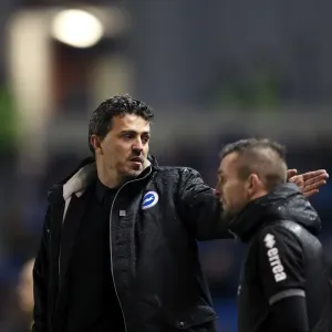 Brighton & Hove Albion vs. Huddersfield Town: Home Game - December 21, 2013 (Season 2013-14) Brighton & Hove Albion vs. Huddersfield Town: Home Game - December 21, 2013 (Season 2013-14)