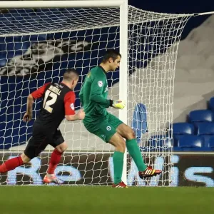Brighton & Hove Albion vs. Huddersfield Town: Home Game - December 21, 2013 Brighton & Hove Albion vs. Huddersfield Town: Home Game - December 21, 2013