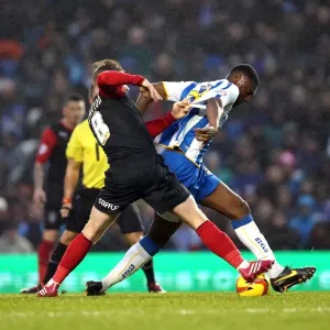 Brighton & Hove Albion vs. Huddersfield Town: Home Game - December 21, 2013 Brighton & Hove Albion vs. Huddersfield Town: Home Game - December 21, 2013