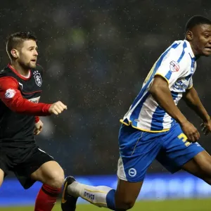 Brighton & Hove Albion vs. Huddersfield Town: Home Game - December 21, 2013 Brighton & Hove Albion vs. Huddersfield Town: Home Game - December 21, 2013