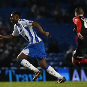 Brighton & Hove Albion vs. Huddersfield Town: Home Game - December 21, 2013 (Season 2013-14) Brighton & Hove Albion vs. Huddersfield Town: Home Game - December 21, 2013 (Season 2013-14)