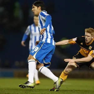 Brighton & Hove Albion vs. Hull City Print (09-02-2013) Brighton & Hove Albion vs. Hull City Print (09-02-2013)