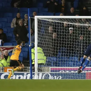 Brighton & Hove Albion vs. Hull City Print (09-02-2013) Brighton & Hove Albion vs. Hull City Print (09-02-2013)