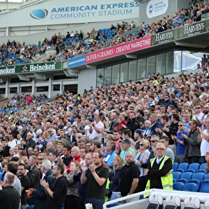 Brighton and Hove Albion vs Hull City: Sky Bet Championship Showdown at American Express Community Stadium (September 12, 2015)