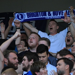 Brighton and Hove Albion vs Hull City: Electric Atmosphere in the Stands during Sky Bet Championship Match, September 2015