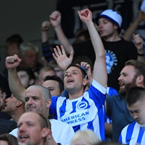 Brighton and Hove Albion vs Hull City: A Sea of Passionate Fans in the Sky Bet Championship Match, September 2015