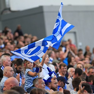 Brighton and Hove Albion vs Hull City: A Sea of Passionate Fans in the Sky Bet Championship Clash, September 2015